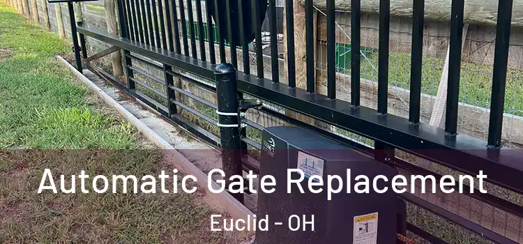  Automatic Gate Replacement Euclid - OH