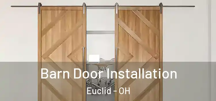 Barn Door Installation Euclid - OH