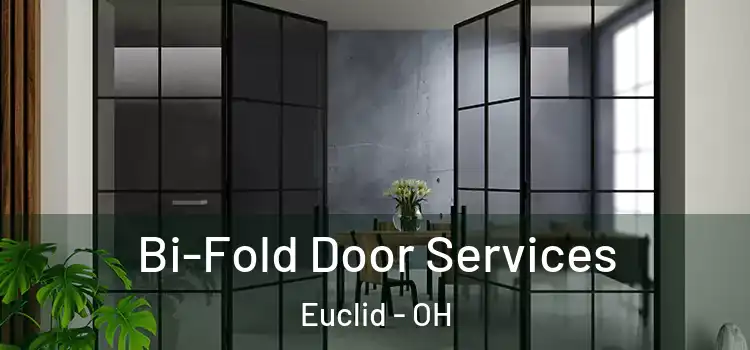 Bi-Fold Door Services Euclid - OH