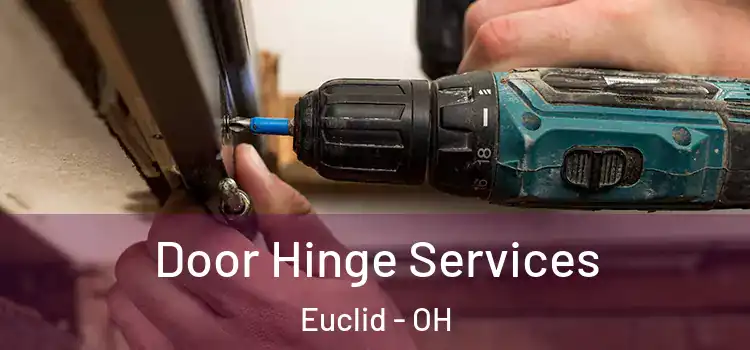 Door Hinge Services Euclid - OH