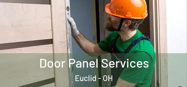 Door Panel Services Euclid - OH