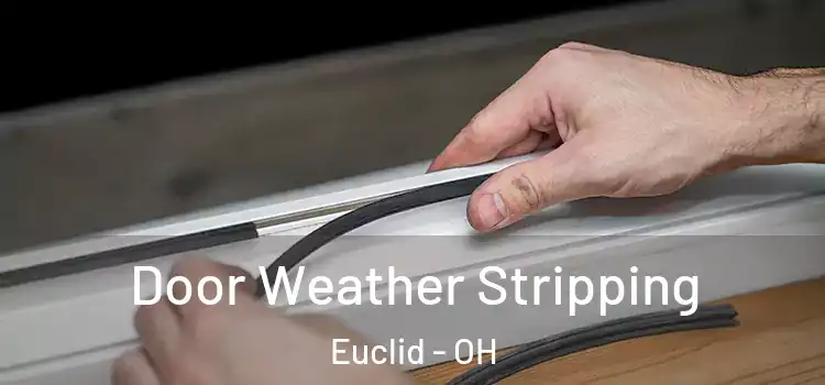  Door Weather Stripping Euclid - OH