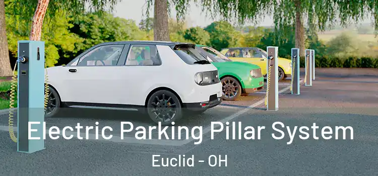 Electric Parking Pillar System Euclid - OH