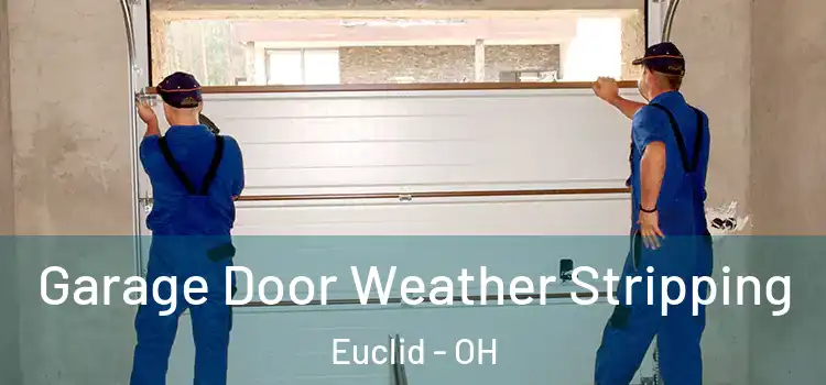  Garage Door Weather Stripping Euclid - OH