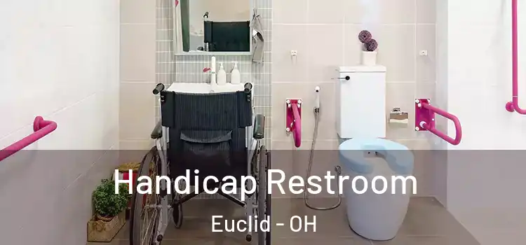 Handicap Restroom Euclid - OH