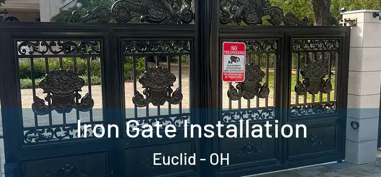 Iron Gate Installation Euclid - OH