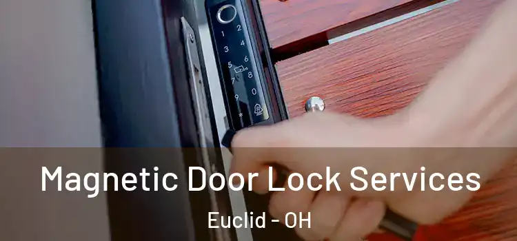Magnetic Door Lock Services Euclid - OH