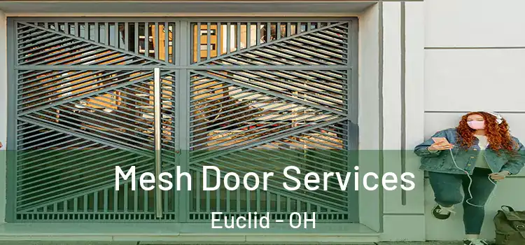 Mesh Door Services Euclid - OH