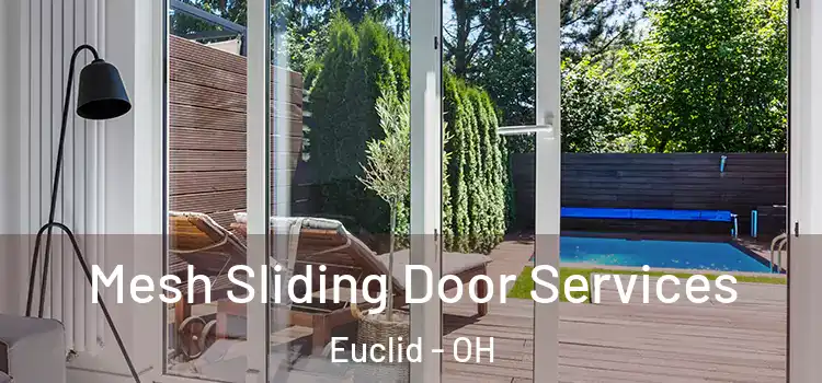 Mesh Sliding Door Services Euclid - OH
