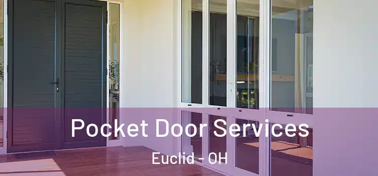 Pocket Door Services Euclid - OH