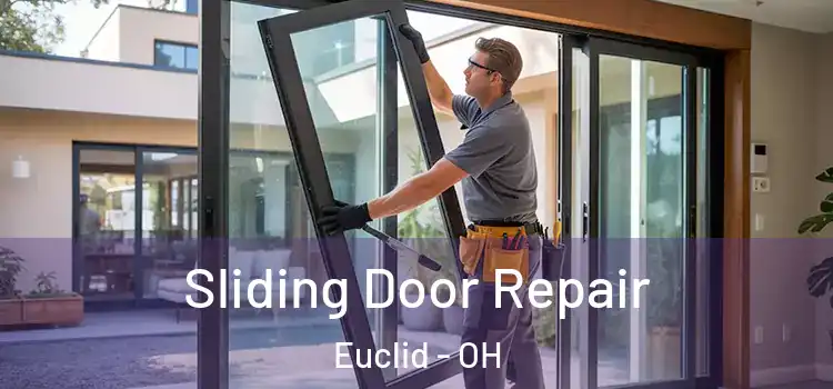 Sliding Door Repair Euclid - OH