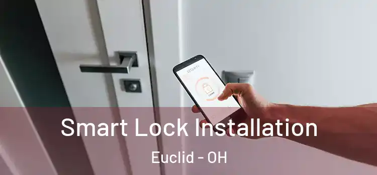  Smart Lock Installation Euclid - OH